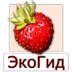 EcoGuide: Russian Wild Berries