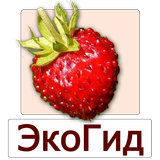 EcoGuide: Russian Wild Berries APK