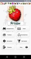 EcoGuide: Russian Wild Berries poster