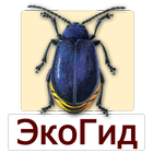 EcoGuide: Forest Insect Pests icon