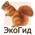 ЭкоГид: Звери - Определитель