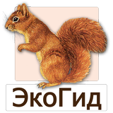 EcoGuide: Russian Wild Mammals