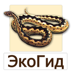 EcoGuide: Russian Reptiles icon