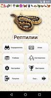 EcoGuide: Russian Reptiles poster