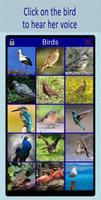 پوستر Birdsong