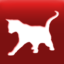 Cat Breed Auto Identify Photo APK