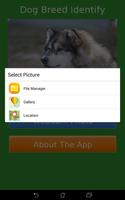 Dog Breed Auto Identify Photo captura de pantalla 3
