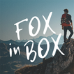 Fox In Box