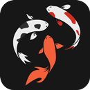 Уми Масу | Москва APK