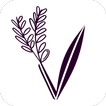 LAVANDA Ресторан