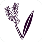 LAVANDA Zeichen