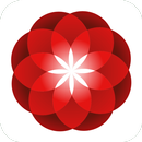 Миллион Роз | Ярославль APK