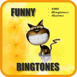 Прикольные рингтоны