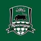 ФК «Краснодар» иконка