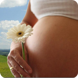 Pregnancy Calendar APK