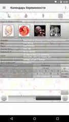 Календарь беременности アプリダウンロード