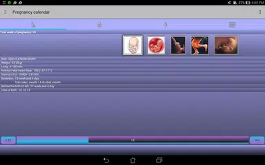 Календарь беременности アプリダウンロード