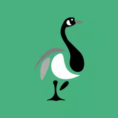 Hunter's guide "Bandolier" Icon