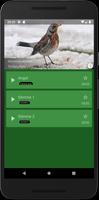 Lockvogel auf dem Feldvogel Screenshot 2