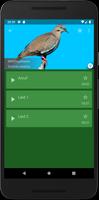 Lockvogel auf dem Feldvogel Screenshot 3