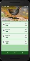 Манок на болотно-луговую птицу اسکرین شاٹ 2