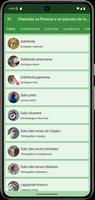 Isca em pássaro da floresta imagem de tela 1