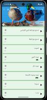 طُعم البطة التقدمي تصوير الشاشة 1