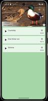 Progressive Enten-Lockvogel Screenshot 2