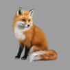 Leurre animal APK