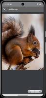 Señuelo en animales captura de pantalla 3