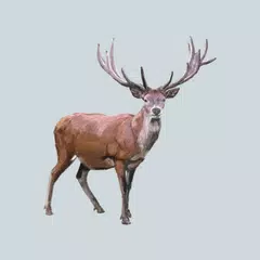 Decoy for hoofed animals Icon