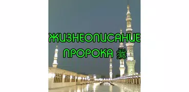 Жизнеописание Пророка ﷺ (сира)