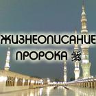 Жизнеописание Пророка ﷺ (сира) アイコン