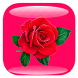 Доставка цветов и подарков