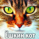Ёшкин кот