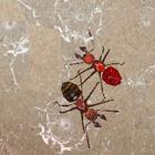 Just BUGS icon