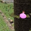 Tower Stairs. Princess game