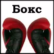 Судья-хронометрист (Бокс)