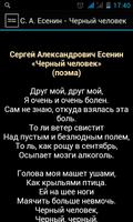 С. А. Есенин - Черный человек Affiche
