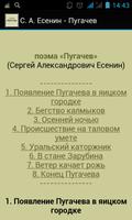 С. А. Есенин - Пугачев पोस्टर