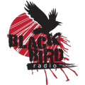 Black Bird Radio
