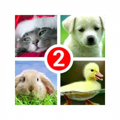 Guess the word 2~4 Pics 1 Word APK Herunterladen