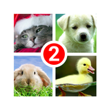 Guess the word 2~4 Pics 1 Word