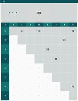 Check multiplication table poster