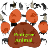 Pedigree of the Animal
