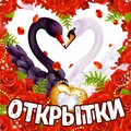 TopKartinki
