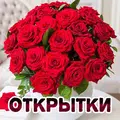 TopKartinki