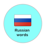 Russian language learn words APK