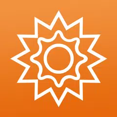 Livemaster XAPK download
