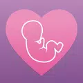 Pregnancy Calendar